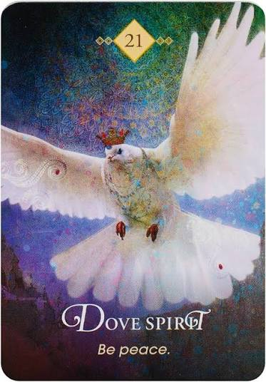 Dove Spirit – oraakkelikortti
